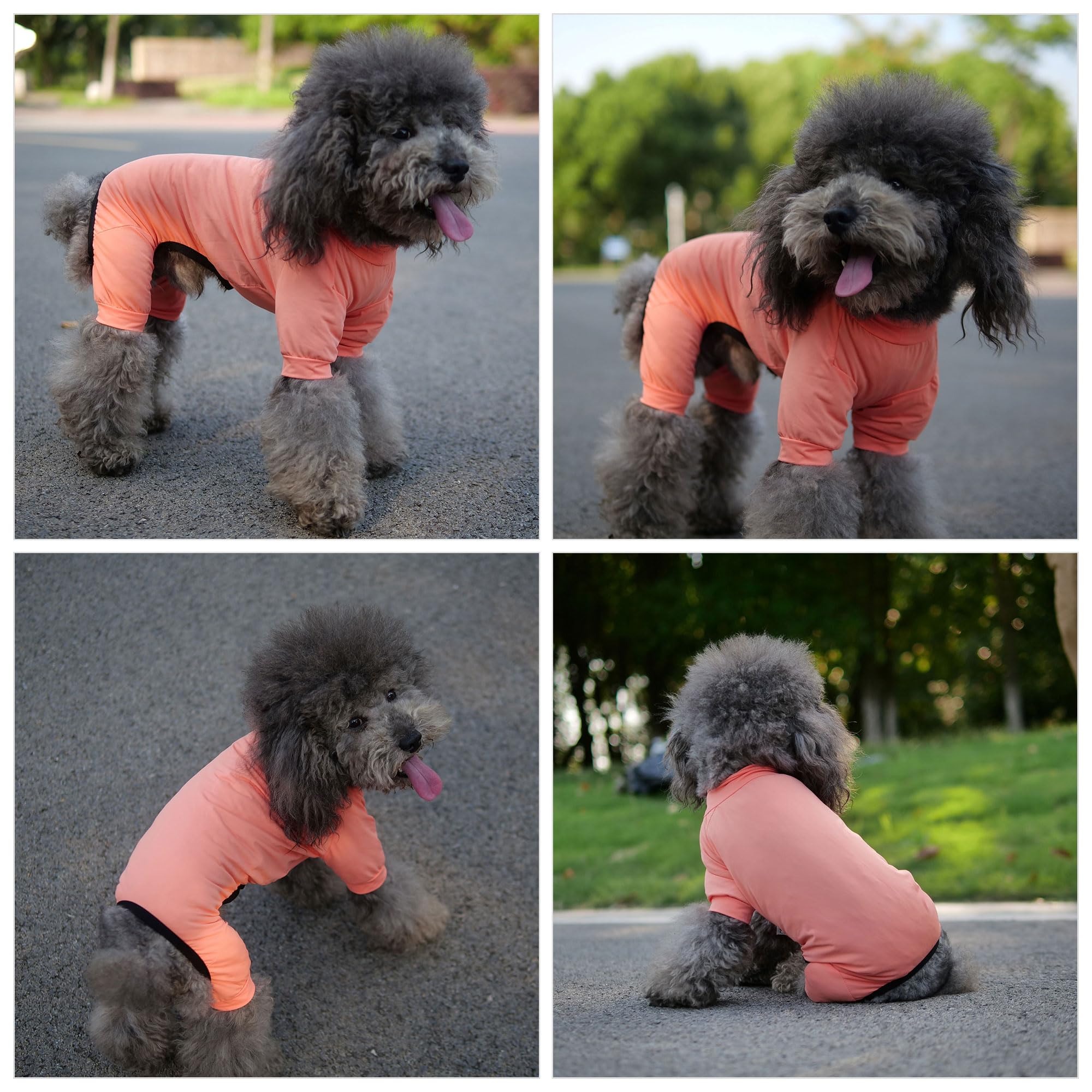 Lovelonglong Dog Jumpsuit With Uv Protection And Quick-Dry Fabric For Spring Summer Pet Pajamas Lobster Pink Xs